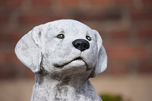 stoneandstyle Steinfigur großer Labrador Hund, Höhe ca. 36 cm, Gewicht 14,3 kg, Frost- und wetterfest bis -30°C, massiver Steinguss