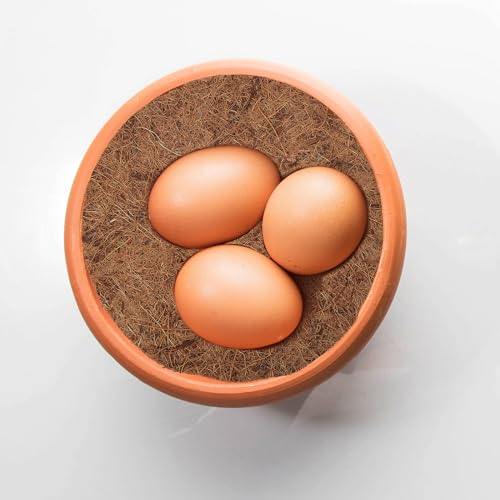 Image of TEHAUX Coconut Fiber Bird Nest Mat 8.1 Inch Dehumidification Racing Pigeon Nest Pad Breathable Durable Bird Breeding Accessory for Egg Protection