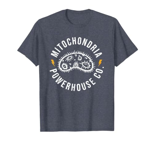 Mitochondria Powerhouse Co. T-Shirt, Men, Heather Blue, Medium