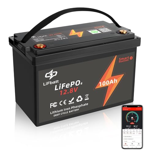 Smart Bluetooth Batería de Litio 12V 100Ah Grupo 31 LiFePO4 Batería de Ciclo Profundo, Built-in 100A BMS, hasta 15000...