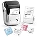 NIIMBOT B1 Etikettendrucker mit Wasserfeste Etiketten Selbstklebend, Tragbarer Beschriftungsgerät Bluetooth Label Printer Aufkleber drucker für schulbedarf, Preisschilder, Logo, Adresse, Silber
