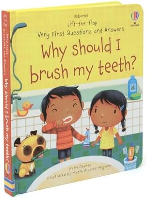 Why Should I Brush My Teeth? (Very First Lift-the-Flap Questions and Answers): 1 (Very First Questions and Answers)