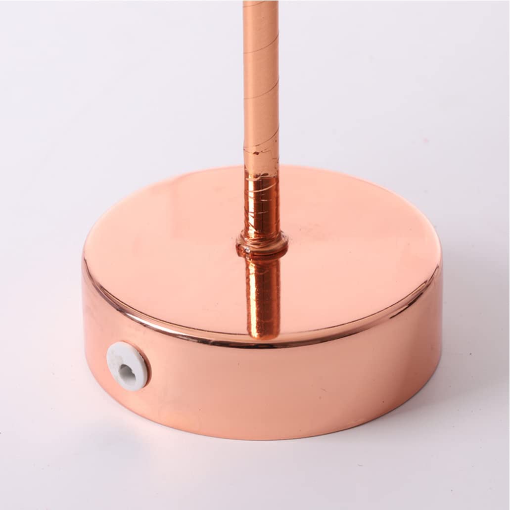 Luce notturna a LED ricaricabile tramite USB, alimentazione a batteria con telecomando, decorazione per casa, camera da letto, comodino, matrimonio, rosa