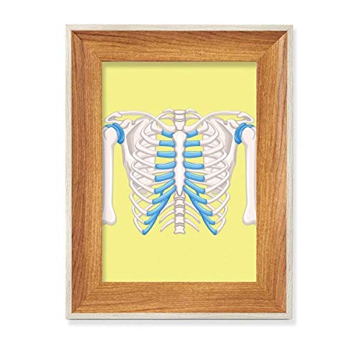 Cadre de photo en bois illustration côtes thoraciques luxe