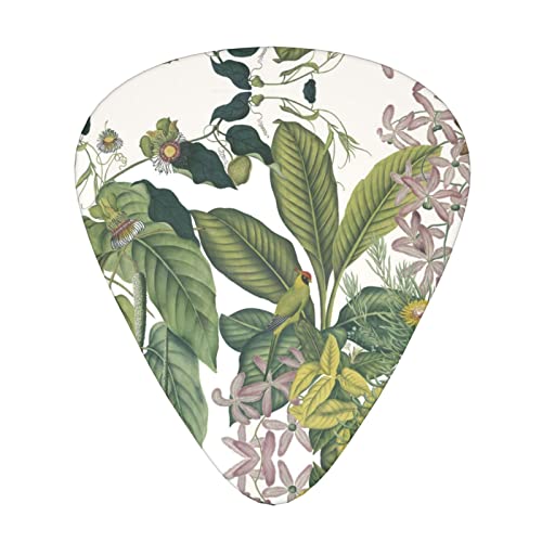 Ensemble de 12 médiators de guitare perroquet feuille de fleur tropicale pour guitare acoustique, guitare électrique… - Les Beatles, Paul McCartney, John Lennon, RIngo Starr, George Harrison Ensemble de 12 médiators de guitare perroquet feuille de fleur tropicale pour guitare acoustique, guitare électrique…