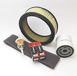 briggs vanguard motor Luftfilter + Vorfilter SERVICE KIT für Briggs Stratton Vanguard Motor OHV 303707 303777 Filter-Öl- Kerzen