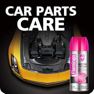 FLAMINGO CARCARE TECH Injector & Choke Cleaner (F006,450ml)