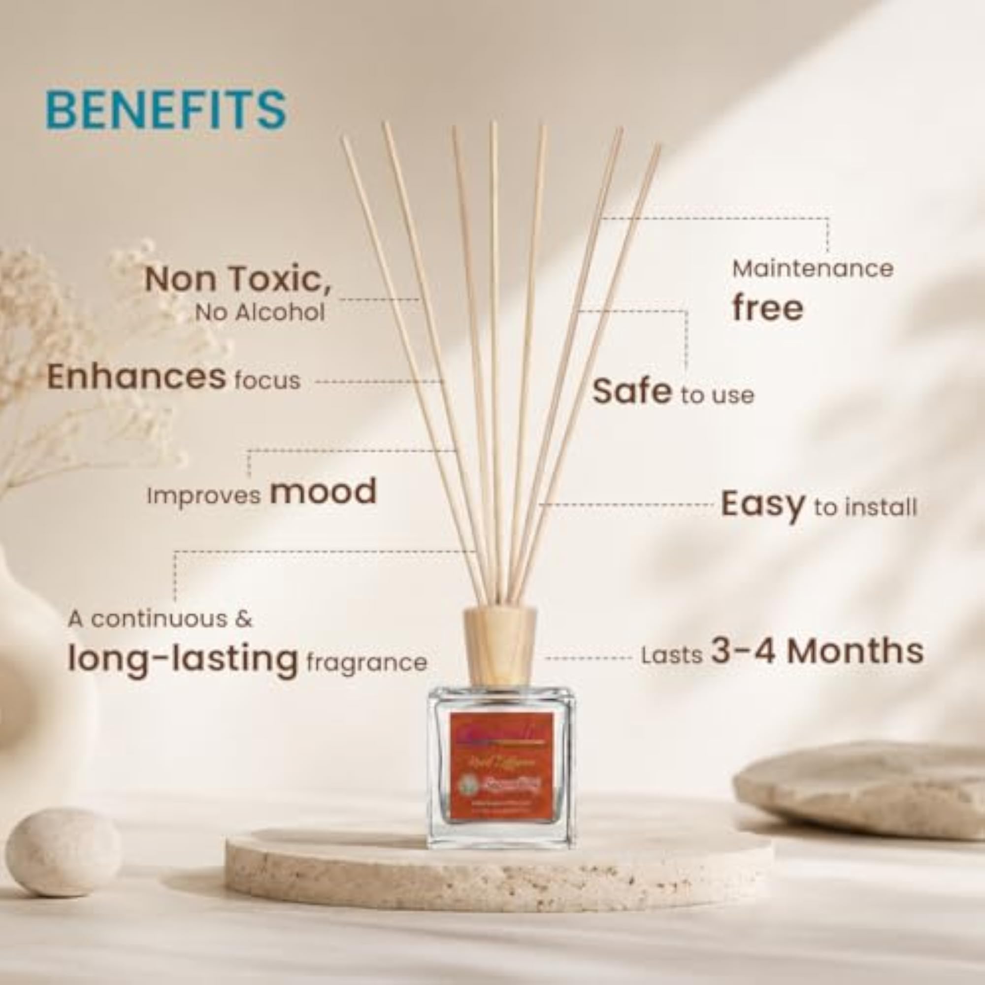 Anandin Reed Diffuser Set Charisma, 2 x 100ml