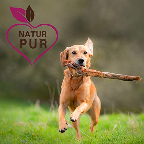 cdVet Fit-Crock Hundefutter trocken Active Lamm Maxi 3 kg, getreidefrei