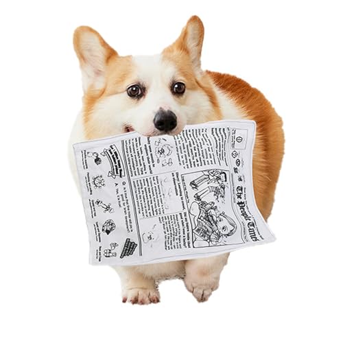 UtySty Pacote com 3 brinquedos para cães, papel amassado, não desfia, lavável, interativo, jornal en