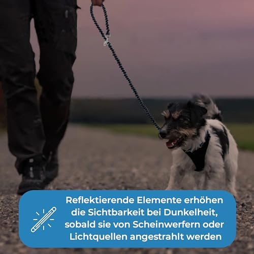 Testnote: Sehr gut - Hundeleine reflektierend I 3m, verstellbar, wetterfest & reißfest bis 250 kg I Paracord Führleine, Umhängeleine I kleine - große Hunde