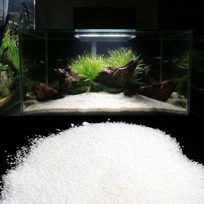 VAYINATO® White Sugar Sand Gravel for Aquarium Decoration (White Sugar Sand - 5KG) by Petzlifeworld (B09KHJN9DS) Amazon Price History, Amazon Price Tracker