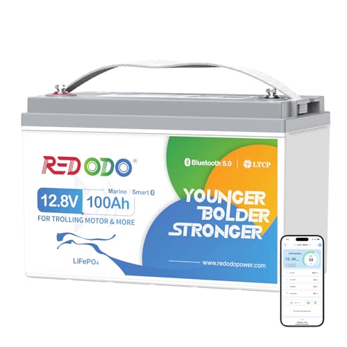 Redodo 12V 100Ah Bluetooth LiFePO4 Battery, Deep Cycle Lithium Battery, Built-in 100A BMS, Group 31, Low Temp Protection, Max. 15000 Cycles, Perfect for RV, Solar, Trolling Motors