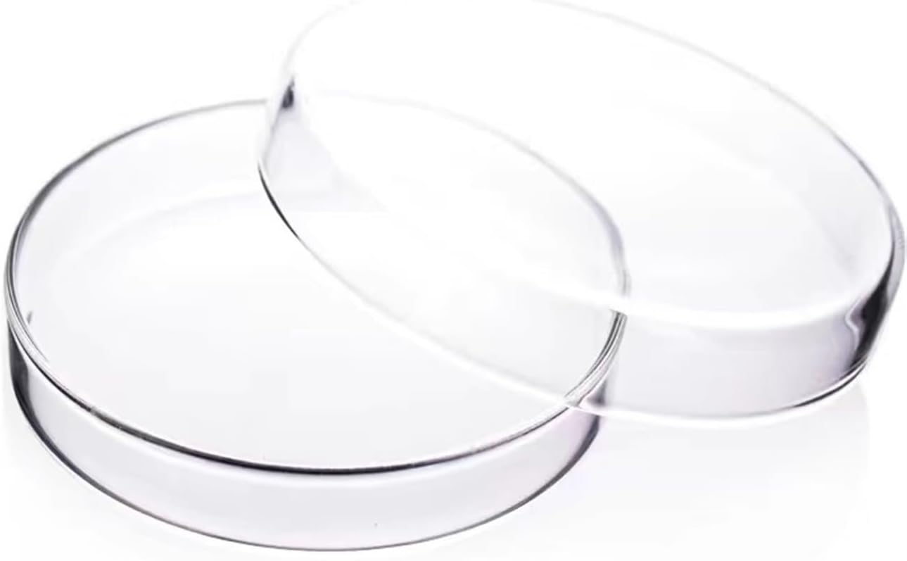 20 pieces/pack 60mm Disposable Plastic Petri Dish Laboratory Equipment Culture Dish