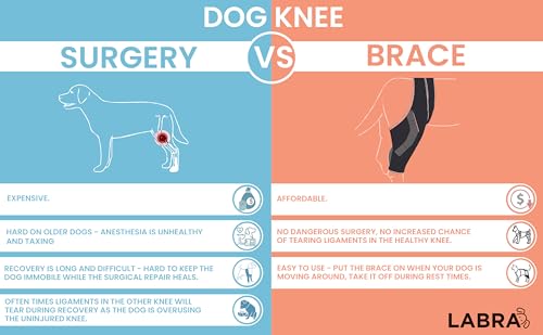 Image of Labra Dog Canine Knee Stifle Brace Wrap, Metal Splint Hinged Flexible Support Brace for K9 ACL, CCL, Luxating Patella, Cruciate Ligament Sprains in Back, Rear, Hind Leg (Medium - 30-50lbs)