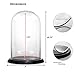 CYS EXCEL Glass Dome Cloche (H:9.25