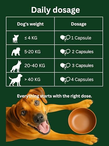 Dr. Flex Probiotika Hund Komplex 110 vegane Kapseln Hochdosiert zur Verdauungsunterstützung und Darmflora Aufbau mit Lactobacillus Acidophilus Lipase Cellulase Protease für Senioren Sensible Hunde