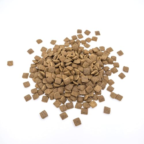 Nature’s Protection Superior Care Trockenfutter für Hunde - Hypoallergenes Hundefutter Trocken Getreidefrei mit Lachs für empfindliche Erwachsene Hunde - Omega 3 & 6 - Haut, Fell & Verdauung (1.5kg)