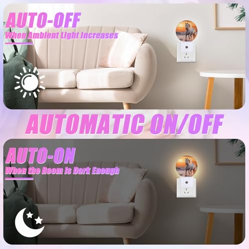 Image of Running Horse Night Light Sunset Night Lights LED Lamp Round Plug into Wall Nightlight with Dusk to Dawn Sensor Home Hallway Stairway Kitchen Decor