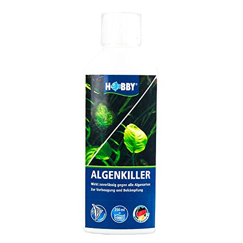 Hobby Aquaristik Algenkiller I Algen sicher bekämpfen ohne den Tieren zu schaden I 250 ml