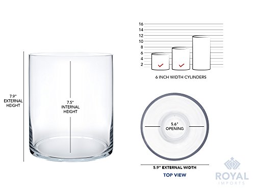 Royal Imports Flower Glass Vase Decorative Centerpiece for Home or Wedding - Cylinder Shape, 8" Tall, 6" Opening, Clear - Thumbnail 5