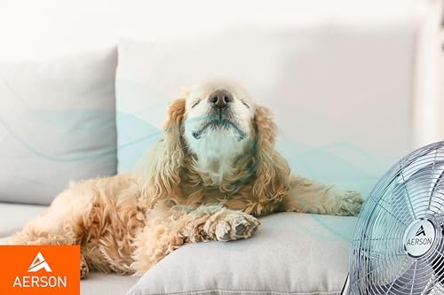 Bild 6 - TRESKO AERSON Bodenventilator 50cm | Windmaschine mit 3-Leistungsstufen 120W | Standventilator | hoher Luftdurchsatz | robuste Metallausführung | Neigungswinkel ca. 110 Grad