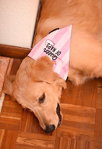 Mutt of Course Queen of Naps Bandana for Dogs (Pink) (Medium)