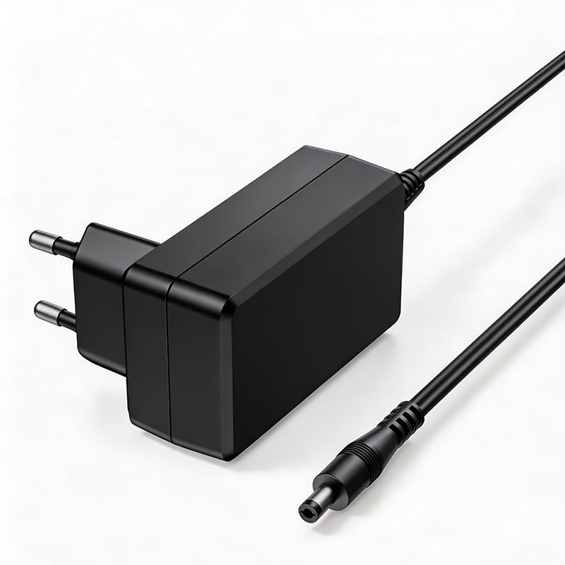 Nettoyeur ultrasonique 9320 10 de dix litres pour l'entretien des bijoux