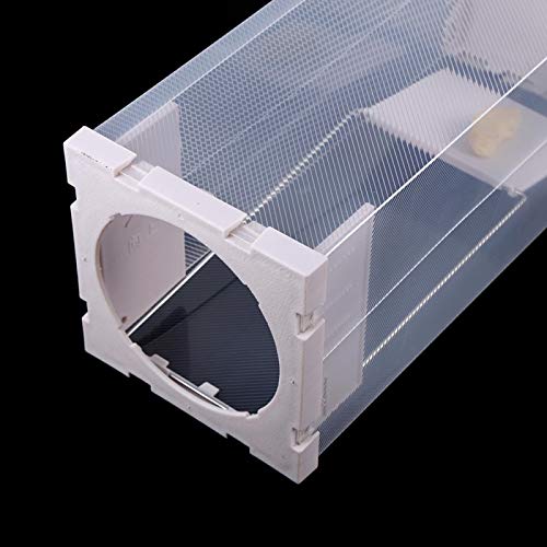 Humane rattenval, muizen Knaagdieren Kooi Levend dier Humane valvangst Ongedierte Knaagdieren Muizen Muiscontrole Aas… - Image 5