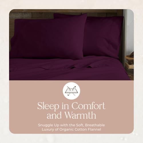 Image of Whisper Organics Organic Cotton Flannel Pillow Case Set (Queen, Aubergine)