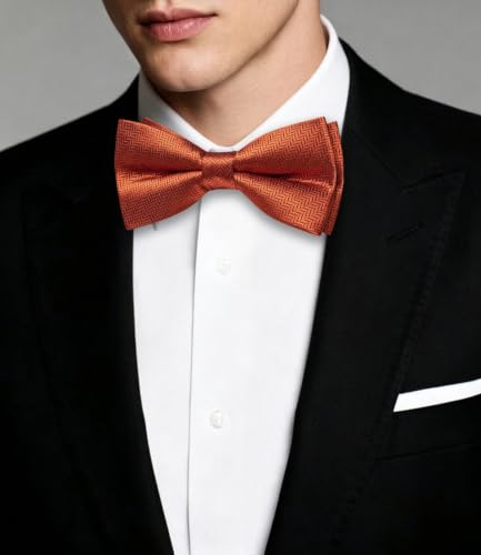 Image of Dubulle Mens Paisley Striped Bowtie Set Pre-tied Bowtie for Men and Pocket Square Set Wedding Business