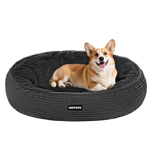 Komfortables Hundebett für mittelgroße Hunde