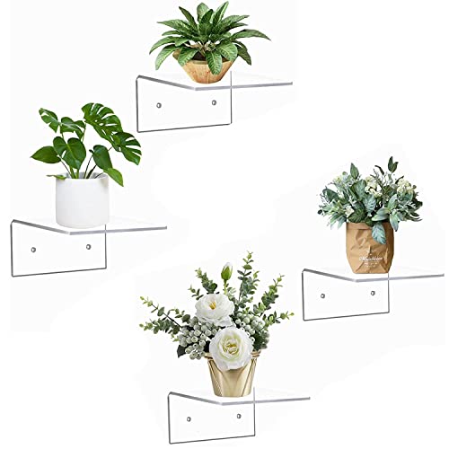 Image of Parikshit Sublimation 4 Pcs Invisible Small wall Rack Shelf Plant Stand for Living Room Bedroom Home Decor Bathroom Kitchen Office