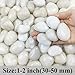 FANTIAN 2 lbs Polished White Pebbles for Pebbles, 1-2 Inch Smooth White River Rocks for Plants Potted Vases Fillers Fish Tank Landscaping and Outdoor Garden Decorative Rocks