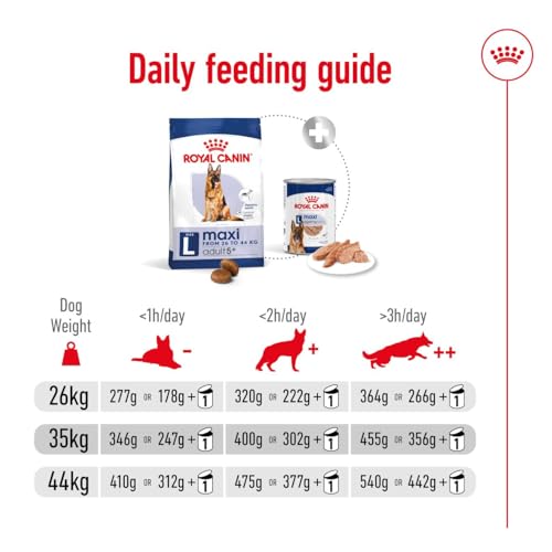 Royal Canin Medium Mature, 5+, 4 kg, 1er Pack (1 x 4 kg Packung), Hundefutter