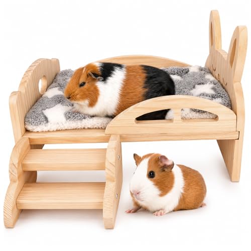 Rypet Wooden Guinea Pig Bed with Stairs and Mat