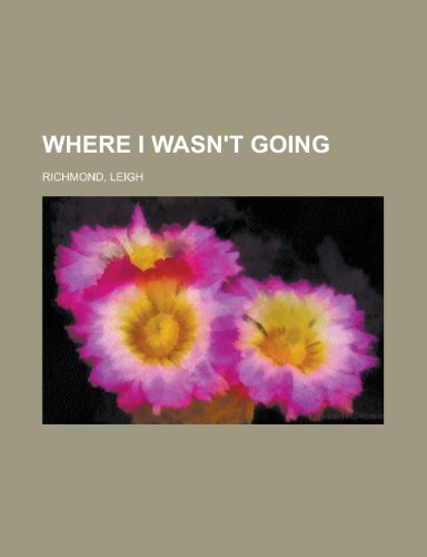 Where I Wasn't Going view 2