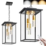 AIBISOD 3-Color LED Outdoor Pendant Light with Remote, 3-Light 19' Large Outdoor Chandelier for Porch, Black Gold Exterior Pendant Lighting Fixtures Ceiling Mount Pendant Lantern for Patio Front Door