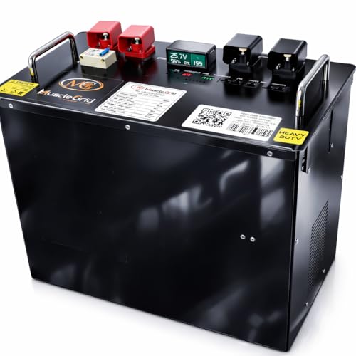 48V 100Ah Lithium Battery | LiFePO4 Solar Battery with Smart BMS,...