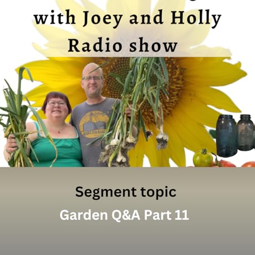 Episode 1535: Seg 3 of S10E7 Garden questions & answered part 11 - The Gardening with Joey and Holly Radio Show