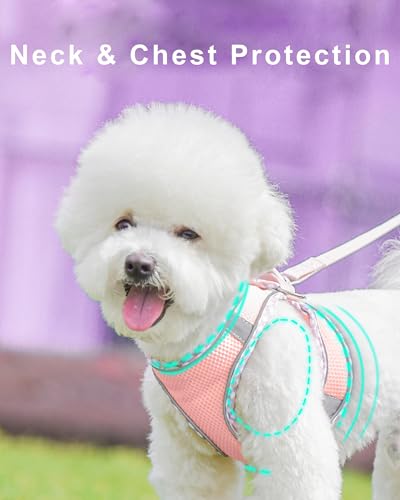 Hundegeschirr, No-Pull Hunde Geschirr für Mittelgroße Hunde, Reflektierend Brustgeschirr Small Dog, Weich Atmungsaktiv Air Mesh Verstellbar Pet Vest Harness mit Leine - Rosa, XL