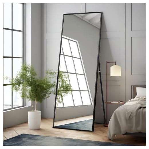 NeuType Full Length Mirror Dressing Mirror 64"x21" Large Rectangle Bedroom Floor Standing Mirror Wall-Mounted Mirror Standing Hanging or Leaning Against Wall Aluminum Alloy Thin Frame (Black)