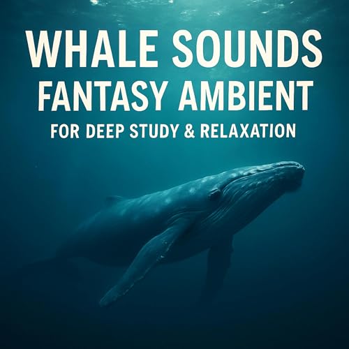 Whale Sounds Fantasy Ambient For Deep Study & Relaxation 😌 cover art