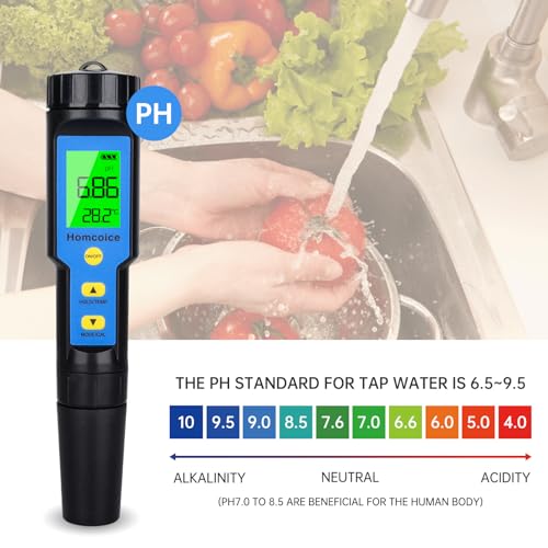 PH Mètre 4 en 1 avec TDS EC pour Spa et Testeur de pH