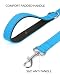Taglory Hundeleine Kleine Hunde Leicht | Doppelseitig Reflektierend | Gepolsterter Griff | Bis zu 10 kg | 1.2m x 2cm | Himmelblau