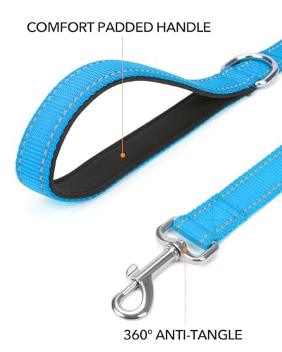 Taglory Hundeleine Kleine Hunde Leicht | Doppelseitig Reflektierend | Gepolsterter Griff | Bis zu 10 kg | 1.8m x 2cm | Himmelblau
