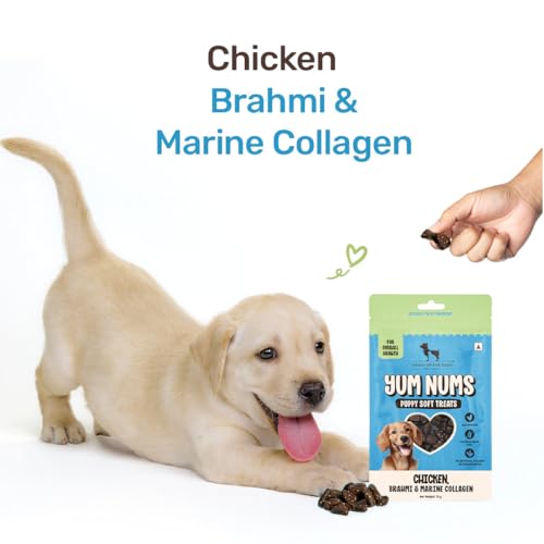 Image of Yum Nums by HUFT Soft & Chewy Sticks - 70 gm (Pack of 5) | Chicken, Brahmi & Marine Collagen Puppy Soft Treats | Healthy Dog Treats for Puppies | Puppy Training Treats | High Protein, Joint Support