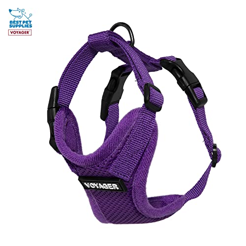 Image of Best Pet Supplies Voyager Step-in Lock Pet Harness w Reflective Pet Leash Combo Set with Neoprene Handle 5ft - Supports Small, Medium and Large Breed Puppies /Cats - Purple, XXS