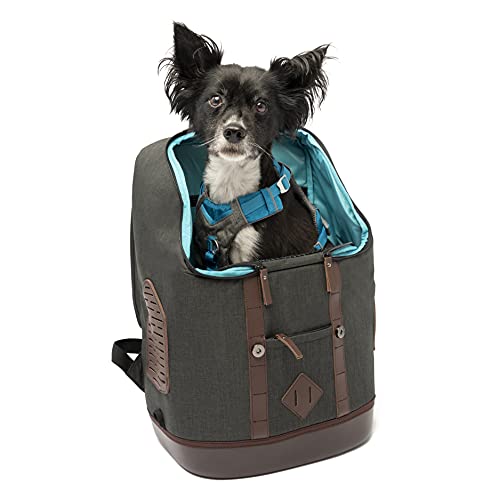 K9 Backpack The 15 best products compared Wild Explained