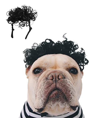 Guanyumeixin Perruque pour chien, perruque pour chiens, petite et moyenne taille, costume pour animaux de compagnie, séance photo, perruques mignonnes (afro) Cover